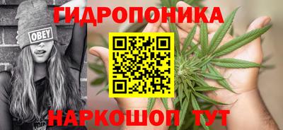 spice Будённовск